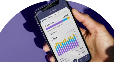 A mobile mockup of the stats shown from the mobile app